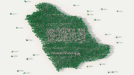 المؤسسات غير الربحية في السعودية
