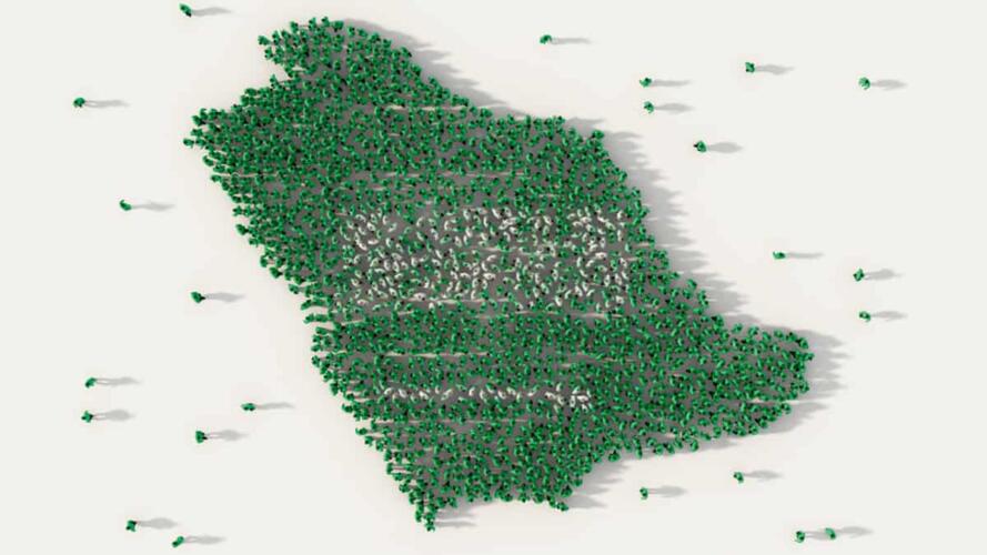 المؤسسات غير الربحية في السعودية