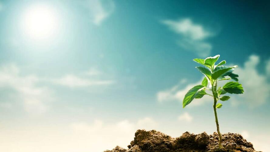 المجتمعات المحلية