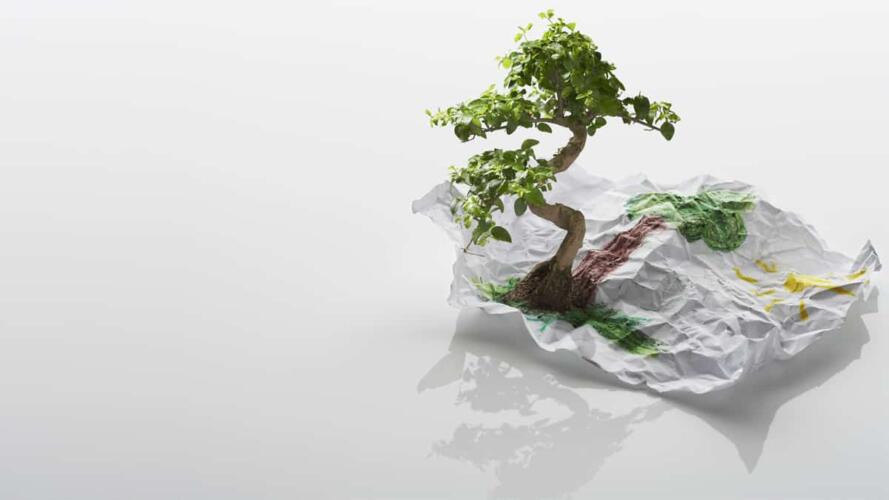تعريف الابتكار الاجتماعي