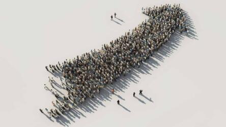 تنظيم المجتمع