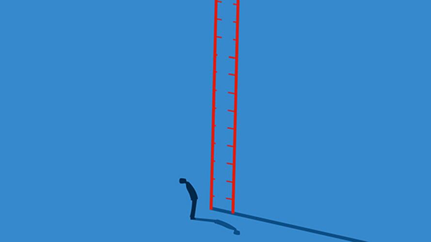 مسار مهني جديد